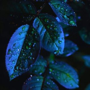 Meet your Posher, Idorenyin